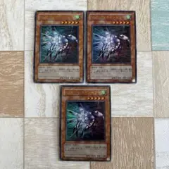 遊戯王 マジックキャンセラー ウルトラ 3枚セット ※即購入OK