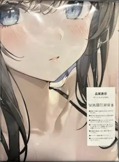 タペストリー　B1サイズ約103㎝×73㎝