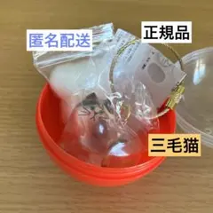 ☆匿名配送☆ 【正規品】うちの子のけだまだま ペットの毛の入れ物 三毛猫