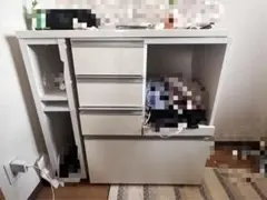 棚