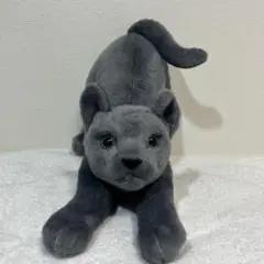 リアルキャット　ぬいぐるみ　ロシアンブルー