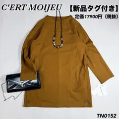 Item thumbnail for item 93c5d7e4-ad5f-45c8-b3f4-60d9148e3e84