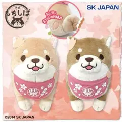 忠犬もちしば お花見BIGぬいぐるみ タグ付き