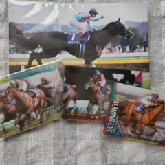 競馬 トレーディングカード 6枚セット
