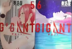 GIGANT(5)(6)