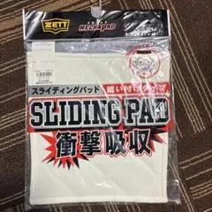 Item thumbnail for item 36dab09a-9c6a-484d-8731-38a206bf3e80