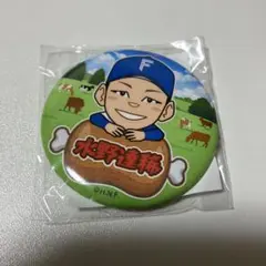 ファイターズ 北海道肉祭り 2025 水野達稀 缶バッチ