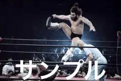 プロレス生写真　ブルーザーブロディ③ 12枚1組