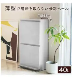 フタ付きゴミ箱 ペダル付き2段ワイド 40L 白
