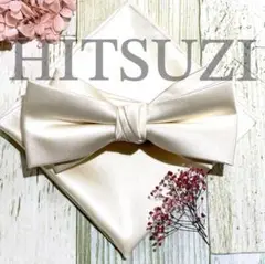 Item thumbnail for item 6ac1a9d5-5390-455e-84e5-f20b07cff697