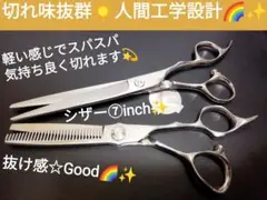 切れ味ヌケ抜群カットシザーセニングシザー美容師サロン仕様はさみ理容師トリマーOK