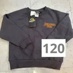 ジュラシックパーク　トレーナー　120 恐竜