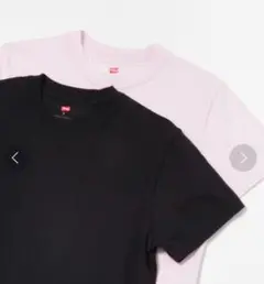 ヘインズ×アーバンリサーチ Tシャツ 2枚セット