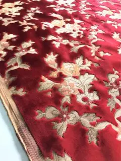 金華山　ネオプリンセス　レッド