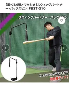 フィールドフォーススウィングパートナーバックスピンFBST-310