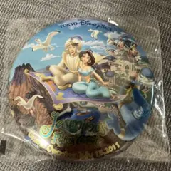 ディズニーリゾート　缶バッジ　アラジン　ジャスミン　フライングカーペット