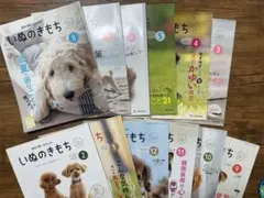 いぬのきもち 2023.9-2024.8