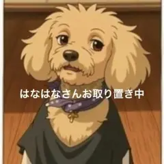 はなはなさんご専用