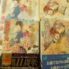 bl小説新刊セット