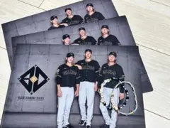 GIANTS クリアファイル tgfesブレスレット