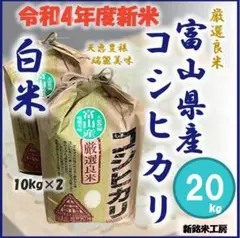 令和4年 新米 富山県産 コシヒカリ 白米 20kg (10kg×2) TK2