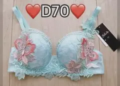 ワコール サルート ブラジャー D70 BTJ444
