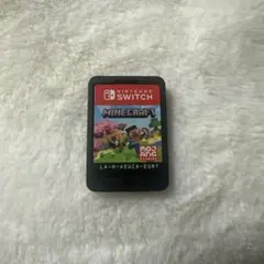 Minecraft Nintendo Switch