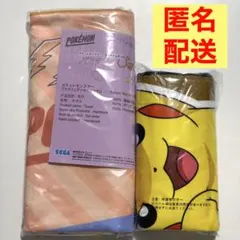 ポケモン　プラチナムザッカバスタオル　マイクロファイバータオル　2枚セット