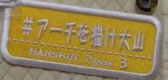 ご予約品❗️阪神タイガース　ワッペン