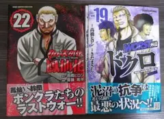 裁断 ドクロ 19 鳳仙花 22 WORST クローズ ワースト 外伝