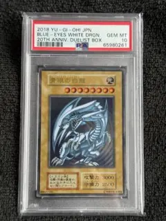 2025年最新】青眼の白龍 ステンレス psa10の人気アイテム - メルカリ