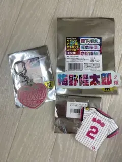 阪神タイガース 梅野隆太郎選手 シークレットグッズ セット