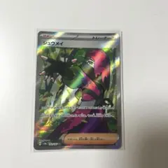 ポケモンカード シュウメイsr