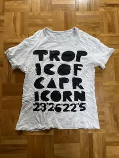 オスクレン OSKLEN Tシャツ