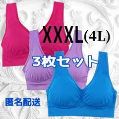 ジニエブラXXXL（4L）サイズスポブラ 楽ブラ ピンク、ブルー、パープル3枚