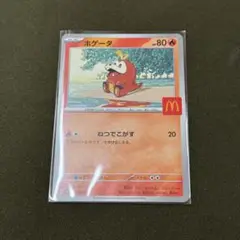 ポケモンカード　プロモカード　ホゲータ