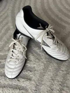 モナルシーダ　ネオ　トレシュー