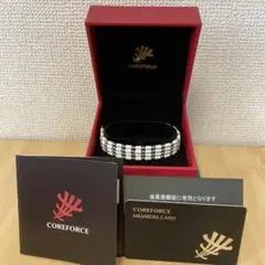 CFL SUSホワイト70