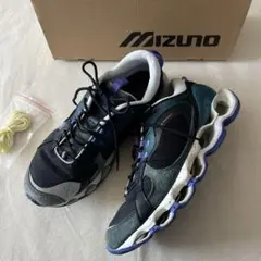 Graphpaper × mizuno wave prophecy B2