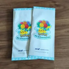 ANA ポケモンジェット　ポケモンエアアドベンチャー記念品　2個　非売品