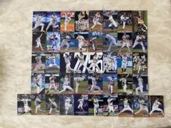 プロ野球チップスカード東京ヤクルトスワローズ42枚セット