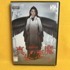 《新品ケース》真昼の悪魔 DVD 4枚組 田中麗奈 / 中村蒼 / 香坂隆史