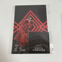 Item thumbnail for item 6dfd9ffd-57ea-41d6-ac61-c3bed1e9c839