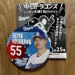 中日ドラゴンズ　細川成也選手　どらポジ応援　缶バッジ