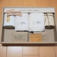 Item thumbnail for item f497aba3-5846-4df4-9235-eb77865e24bd