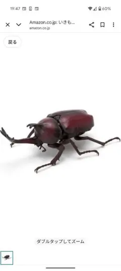 いきもの大図鑑　かぶとむし01 ヤマトカブトムシ