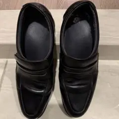 Item thumbnail for item 3f8c16a8-230d-4d1e-8c21-a72da655324d