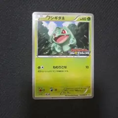 フシギダネ PROMO BW-Pプロモカード 124/BW-P