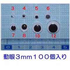 動眼３ｍｍ　キョロキョロ目玉３ｍｍ　１００個