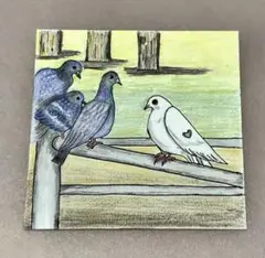 鳩　ハンドメイド　イラスト　絵画　色鉛筆画